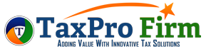 TaxPro Firm - Increase Your Bottom Line with Tax Preparation Made Easy